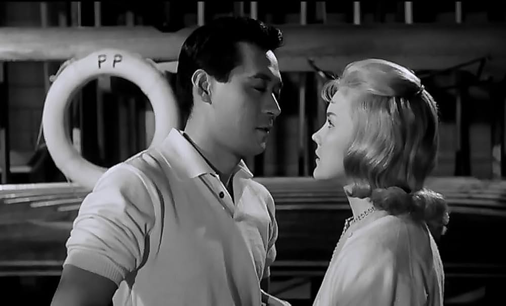 太陽にかける橋の画像