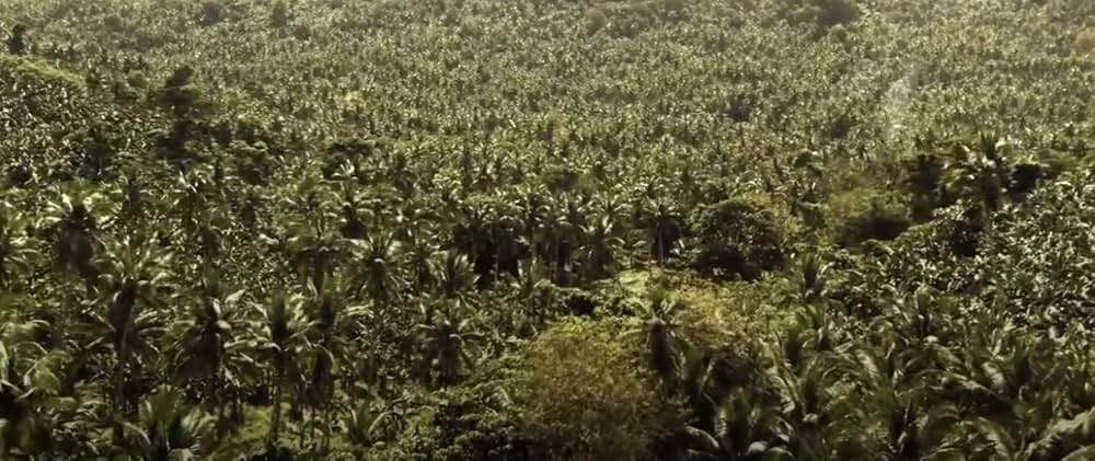 リプレイス 絡みあう欲望の画像