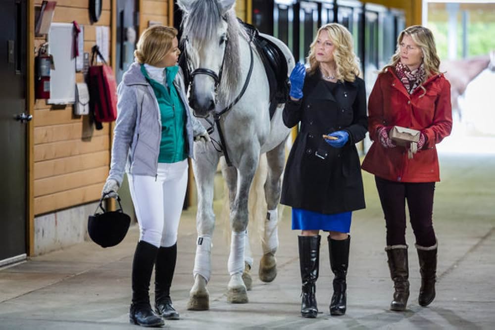 パティシエ探偵ハンナ ～プラムプディング殺人事件～の画像