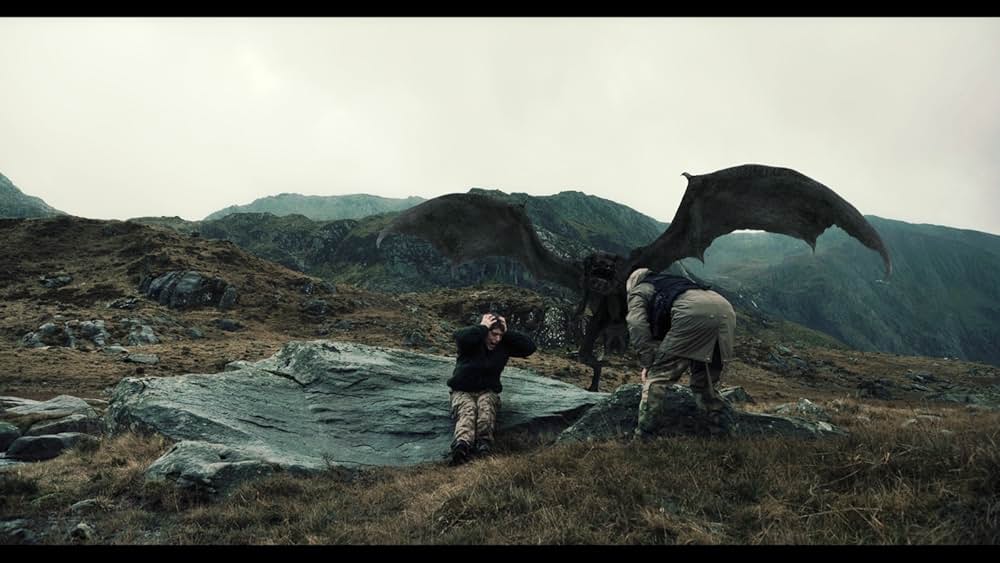 ドラゴン・フューリーの画像