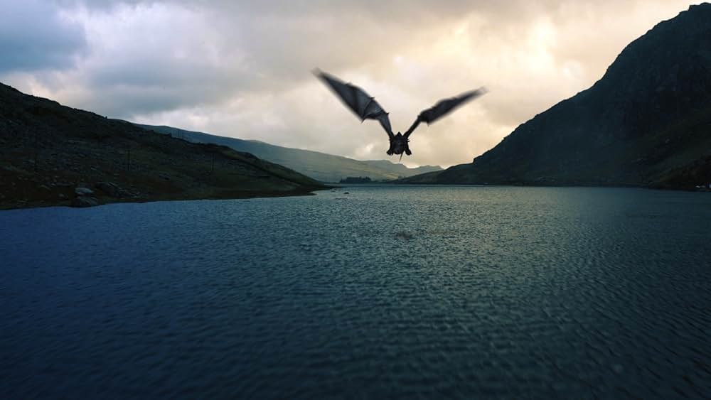 ドラゴン・フューリーの画像