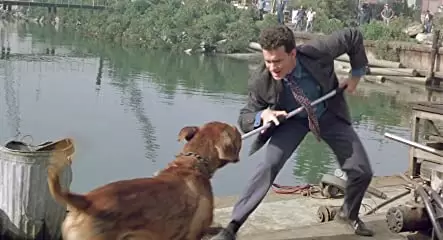 ターナー&フーチ／すてきな相棒の画像