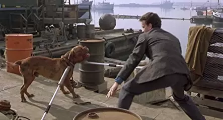 ターナー&フーチ／すてきな相棒の画像