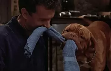 ターナー&フーチ／すてきな相棒の画像