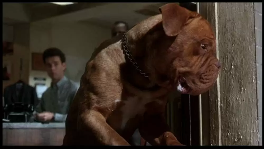 ターナー&フーチ／すてきな相棒の画像