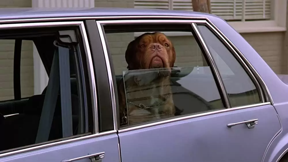 ターナー&フーチ／すてきな相棒の画像