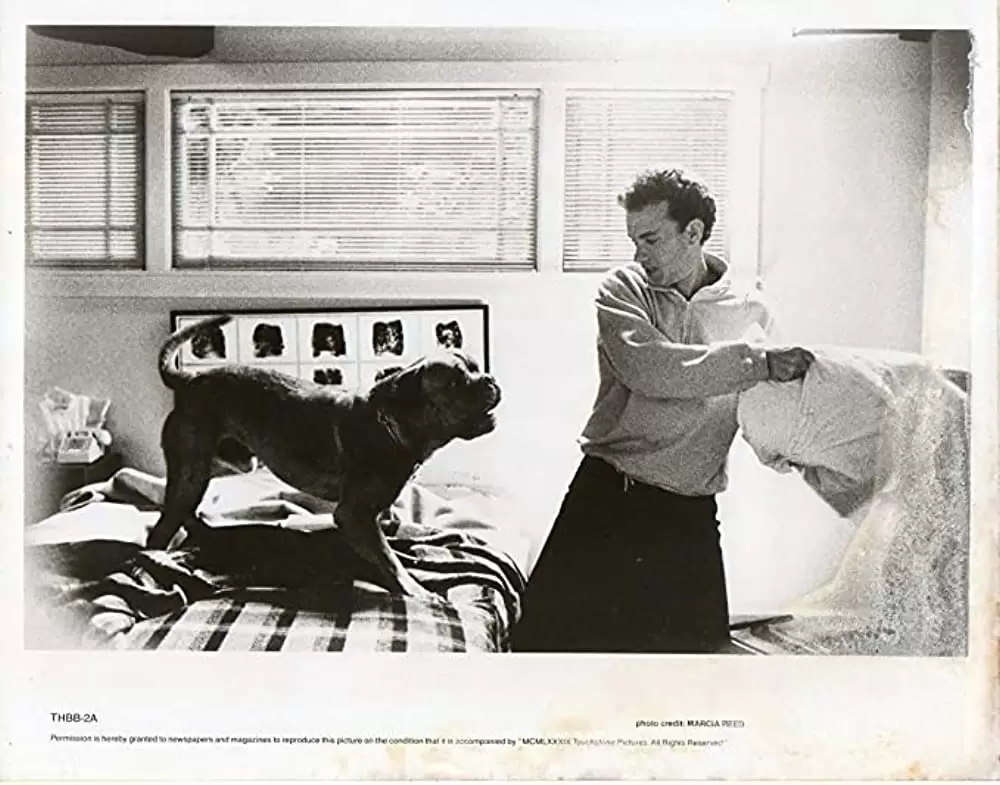 ターナー&フーチ／すてきな相棒の画像