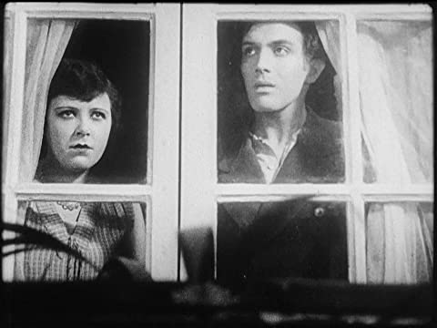 アンダルシアの犬の画像