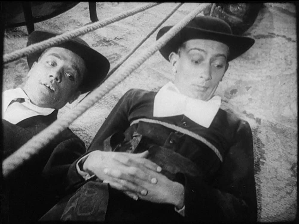 アンダルシアの犬の画像