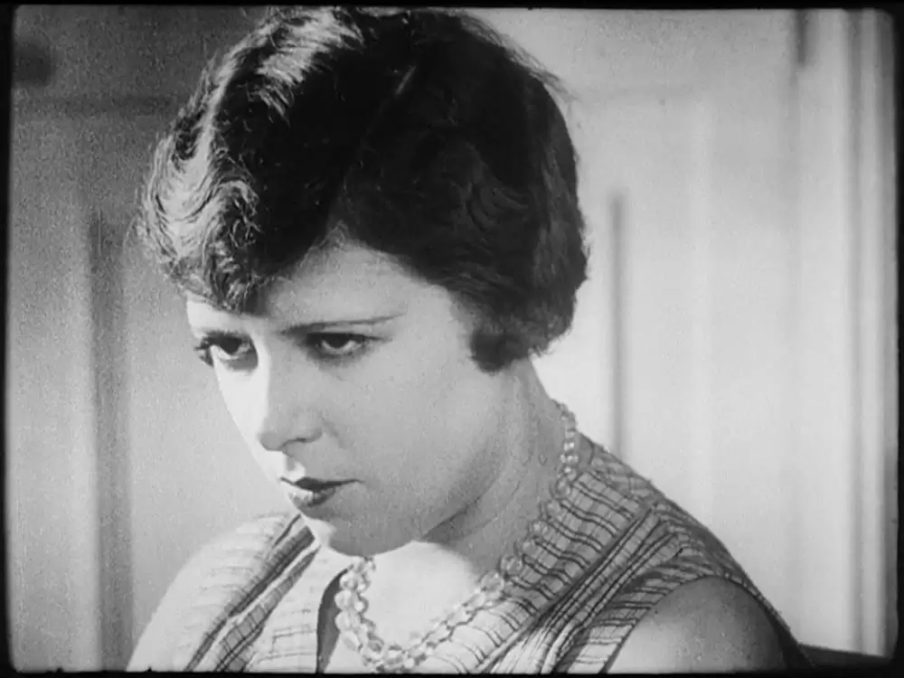 アンダルシアの犬の画像