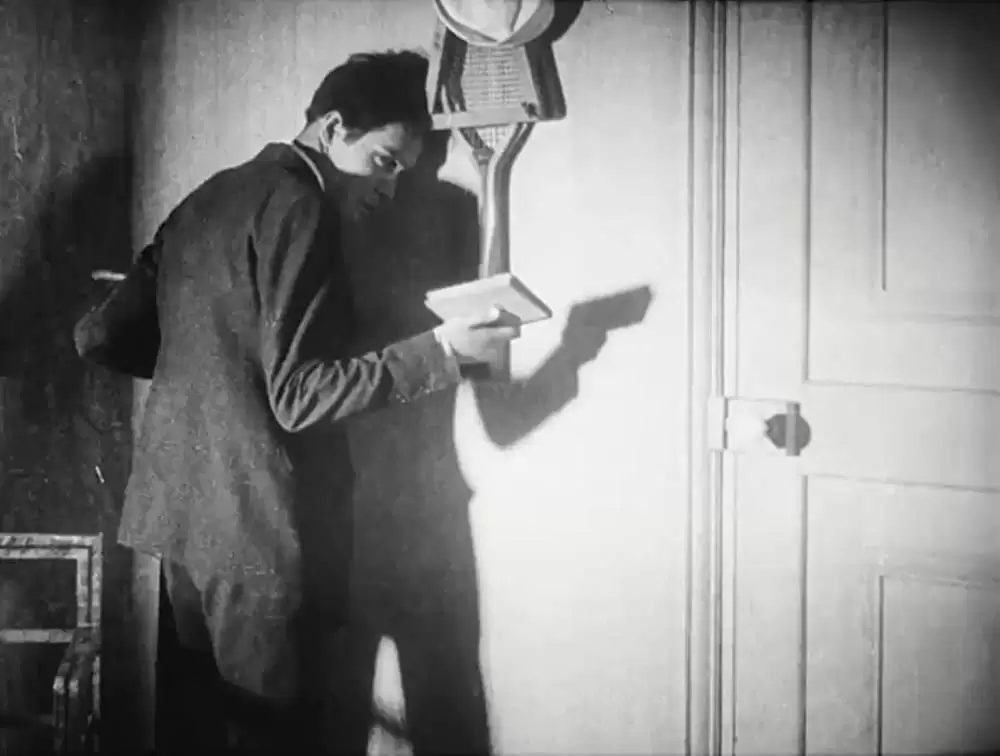 アンダルシアの犬の画像