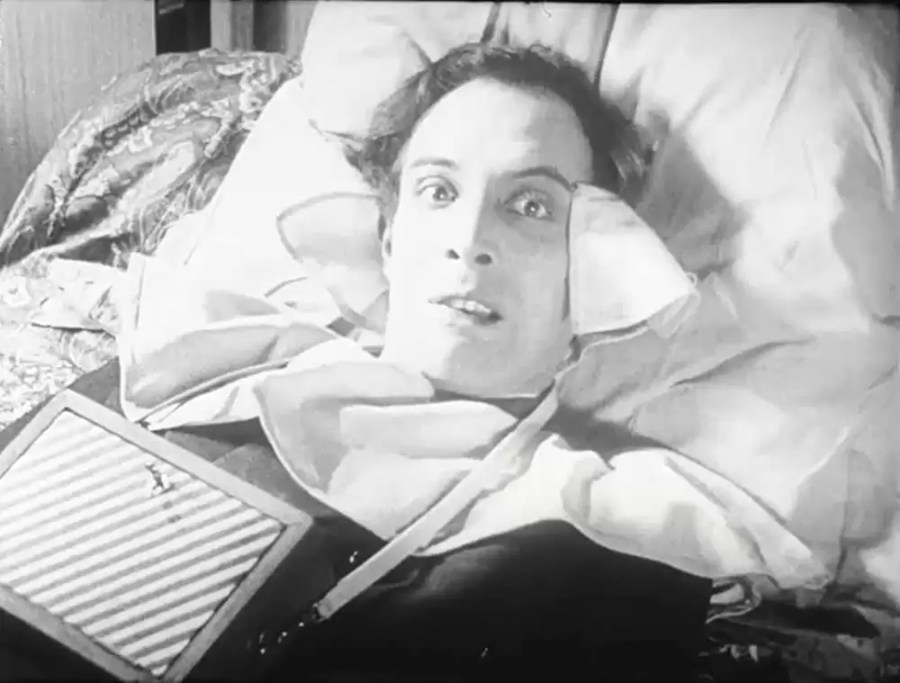 アンダルシアの犬の画像