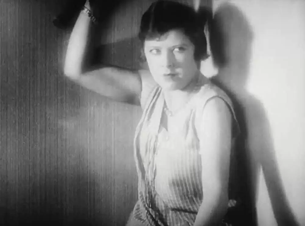 アンダルシアの犬の画像