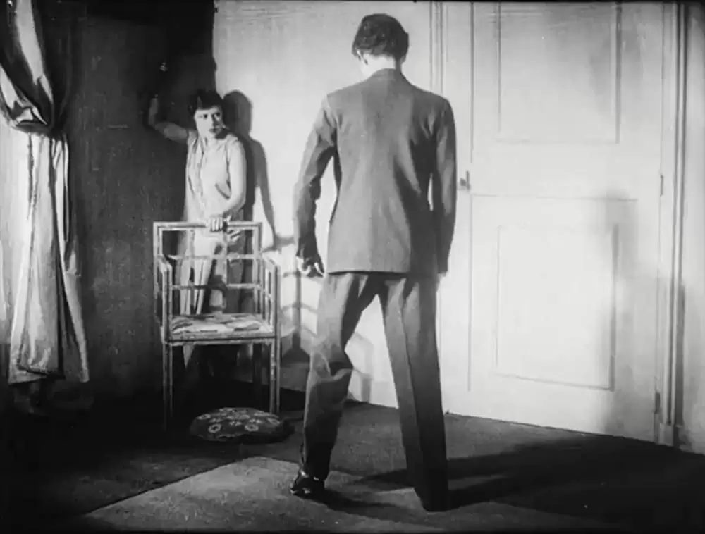 アンダルシアの犬の画像