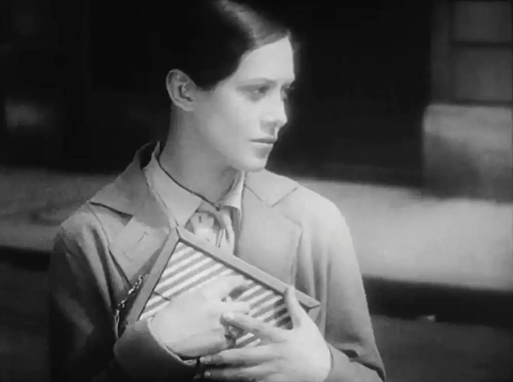 アンダルシアの犬の画像