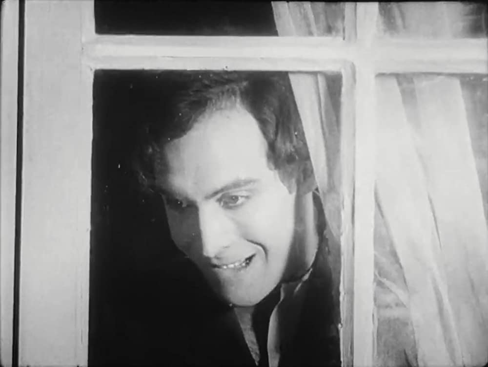 アンダルシアの犬の画像