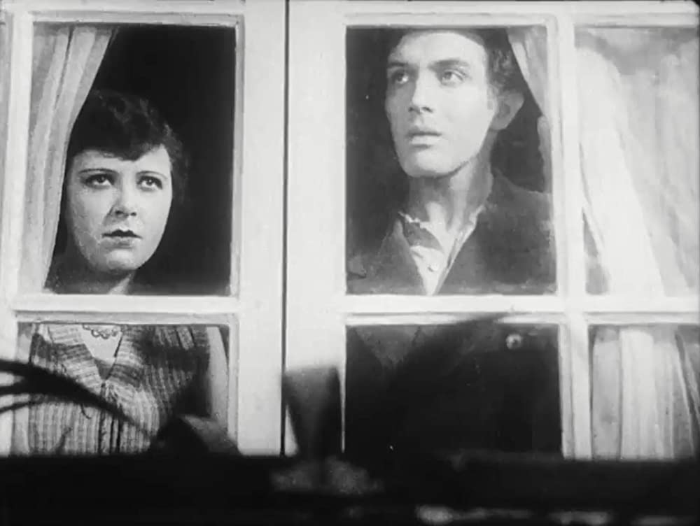 アンダルシアの犬の画像