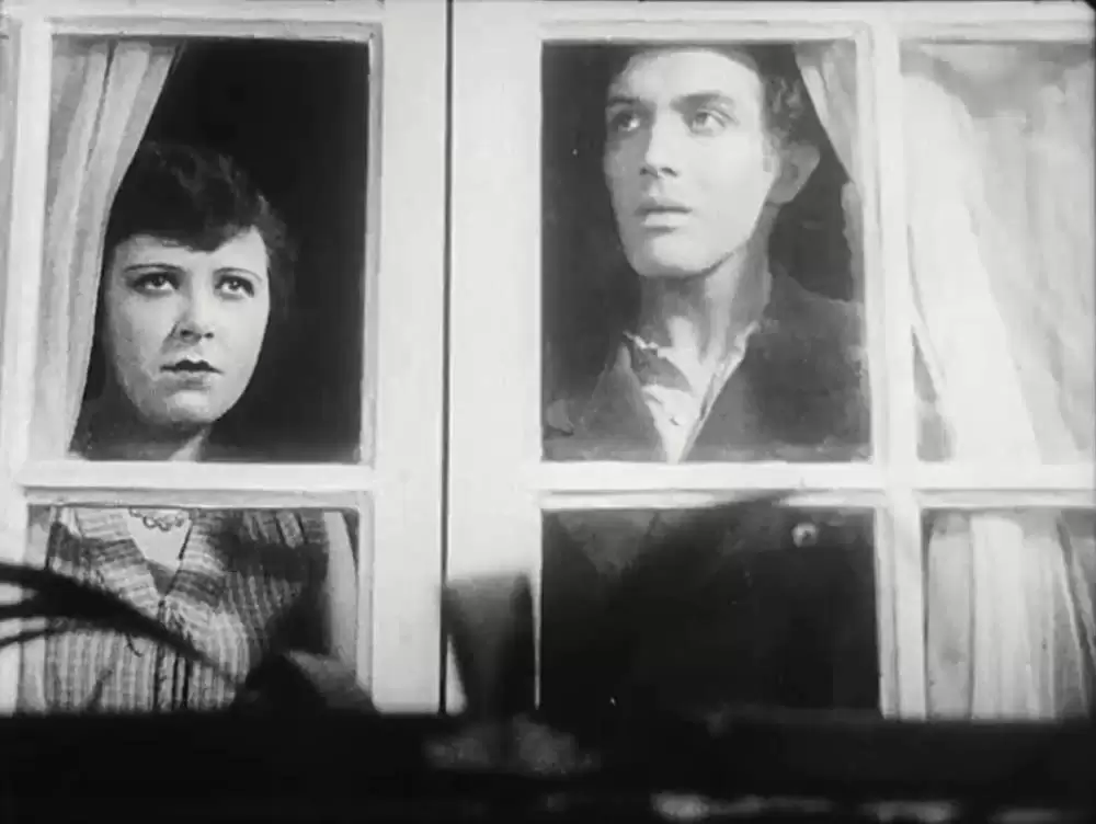 アンダルシアの犬の画像