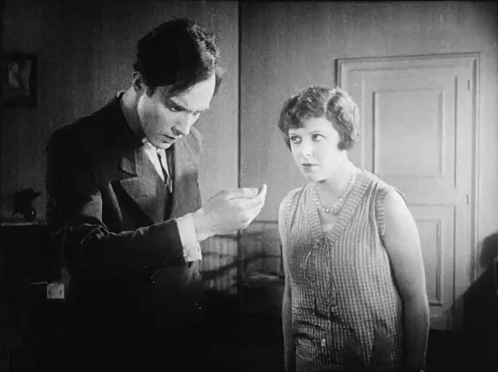 アンダルシアの犬の画像