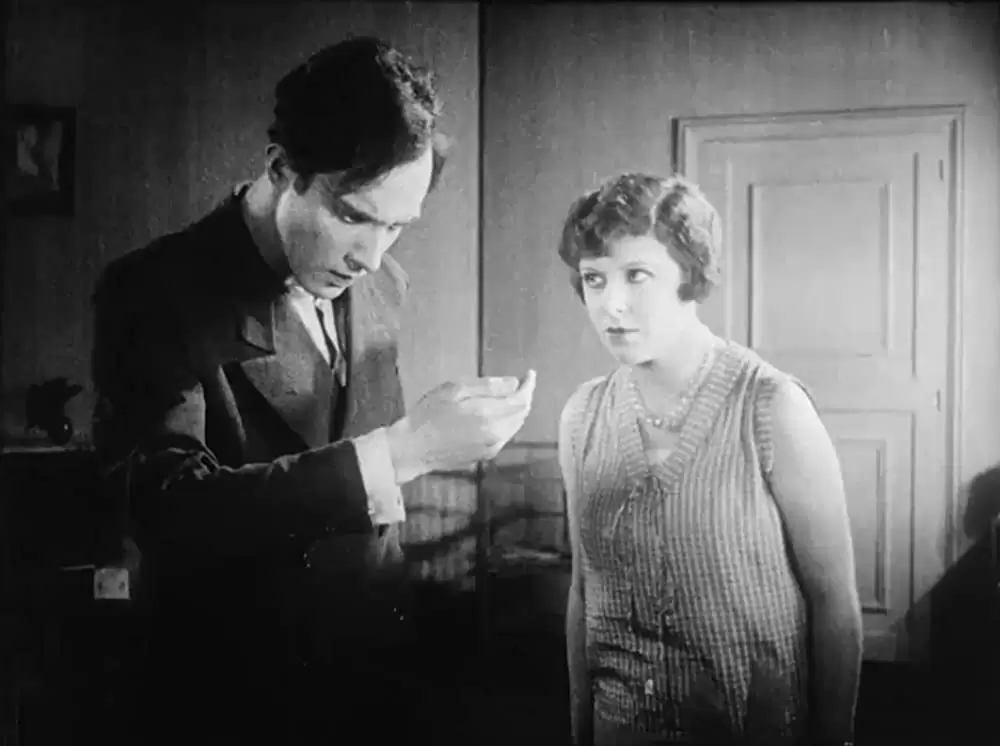 アンダルシアの犬の画像