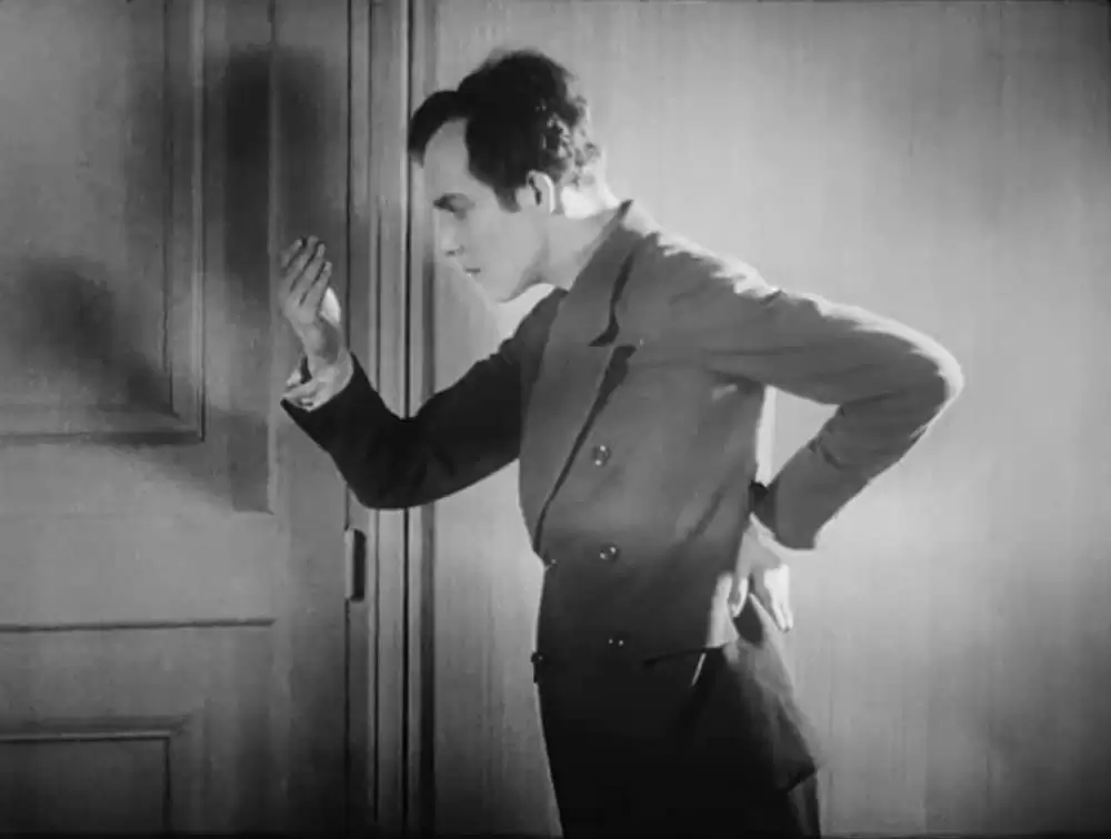 アンダルシアの犬の画像