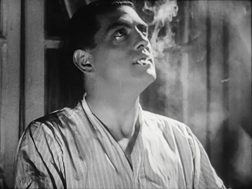 アンダルシアの犬の画像