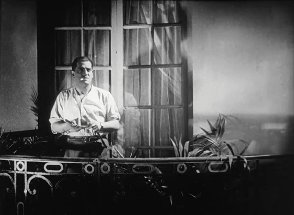 アンダルシアの犬の画像