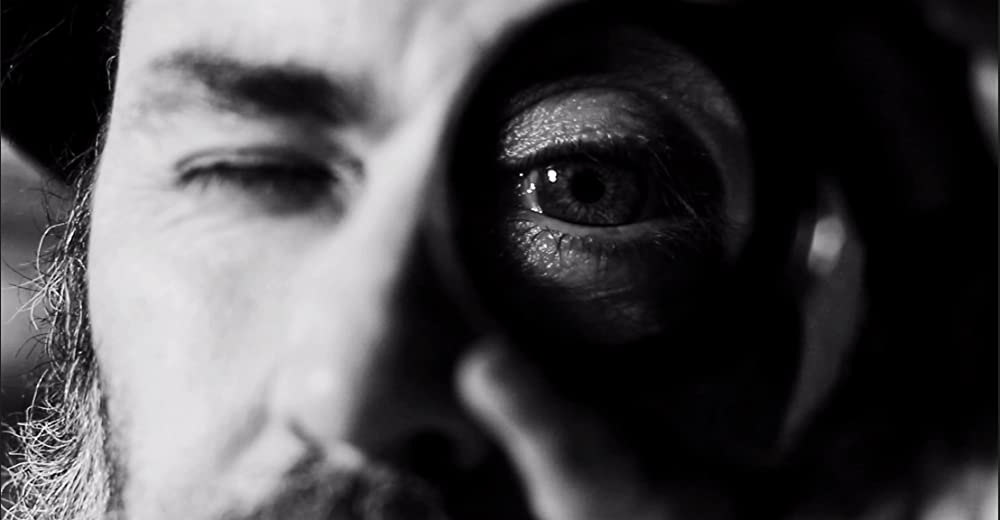 アンダルシアの犬の画像