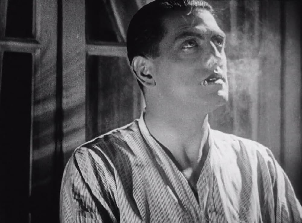 アンダルシアの犬の画像