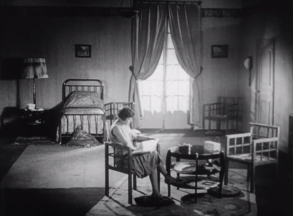 アンダルシアの犬の画像