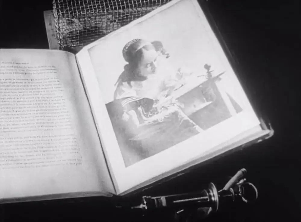 アンダルシアの犬の画像