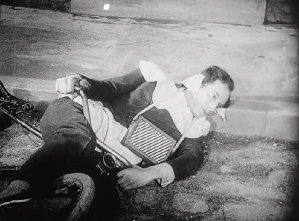 アンダルシアの犬の画像