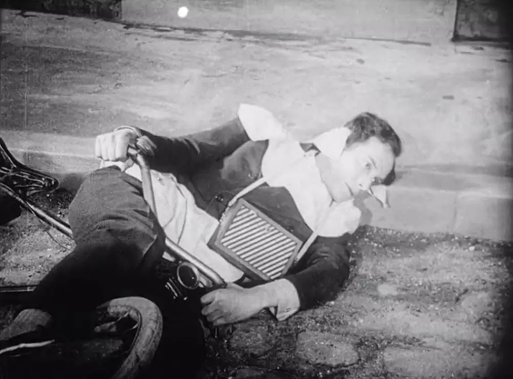 アンダルシアの犬の画像