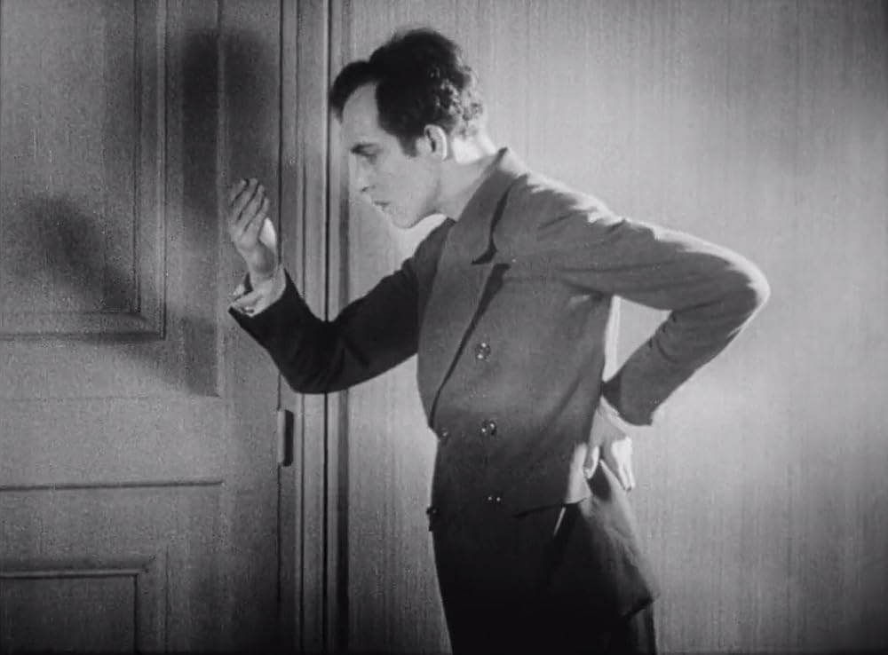 アンダルシアの犬の画像