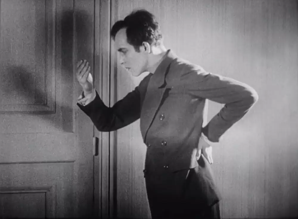 アンダルシアの犬の画像