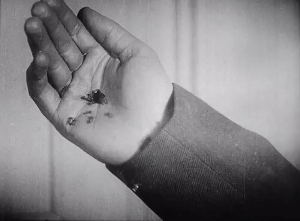 アンダルシアの犬の画像