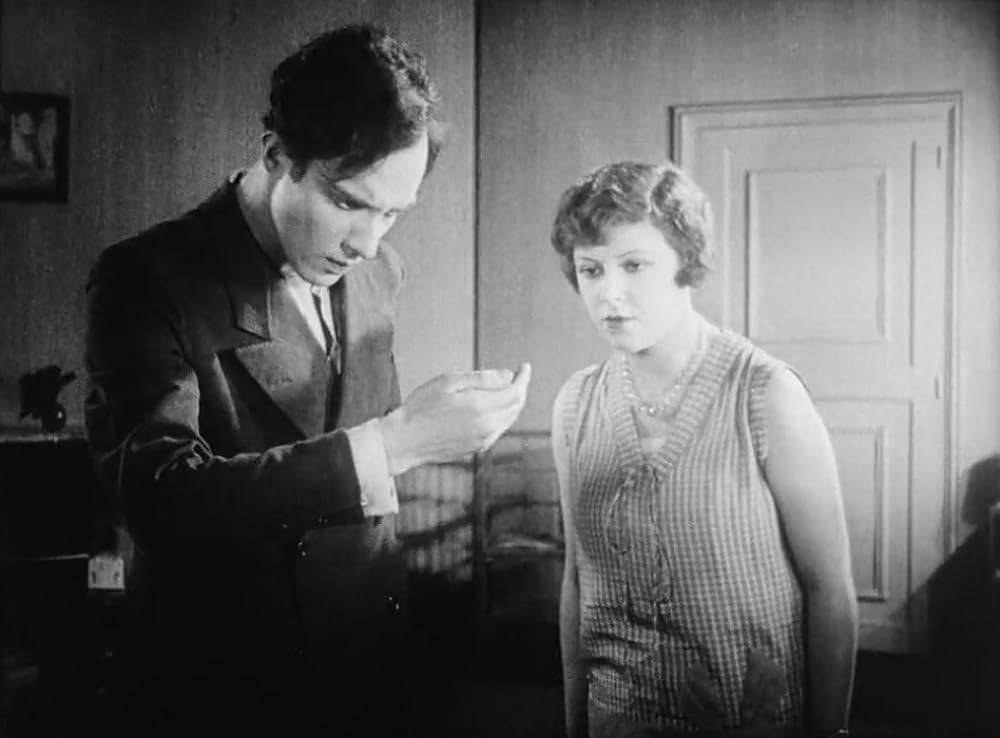 アンダルシアの犬の画像