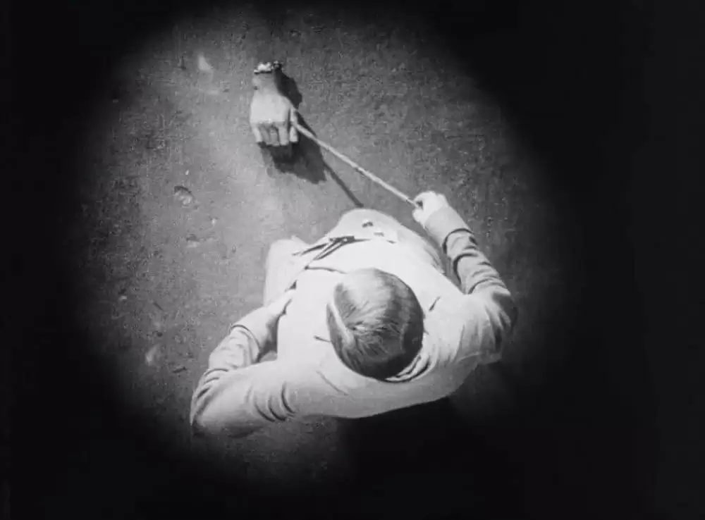 アンダルシアの犬の画像