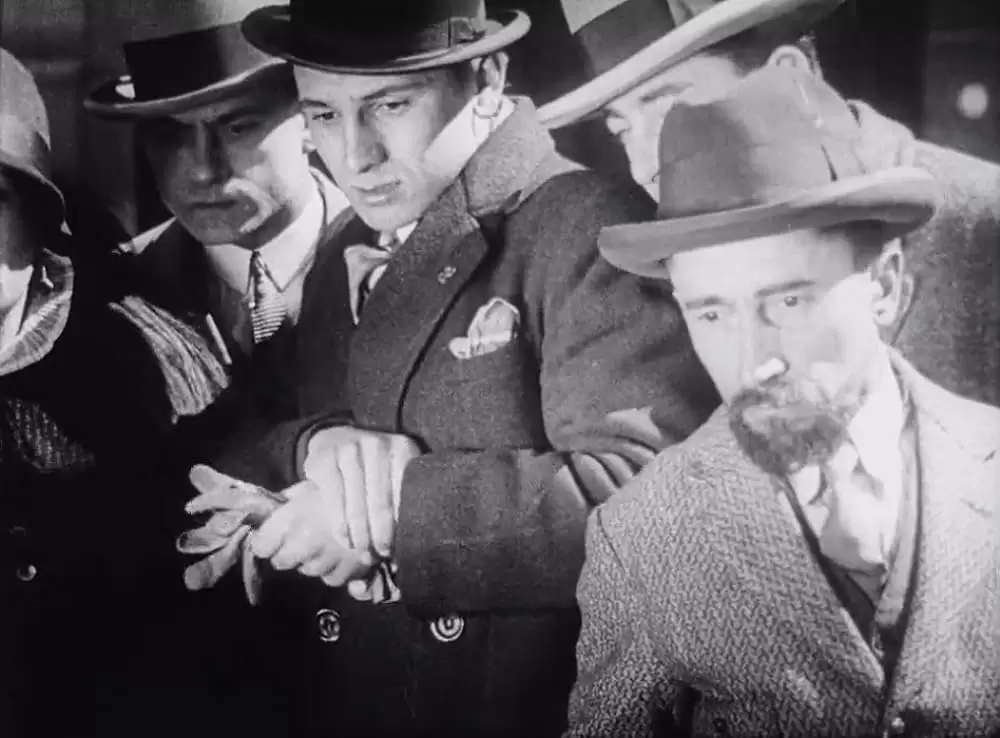 アンダルシアの犬の画像