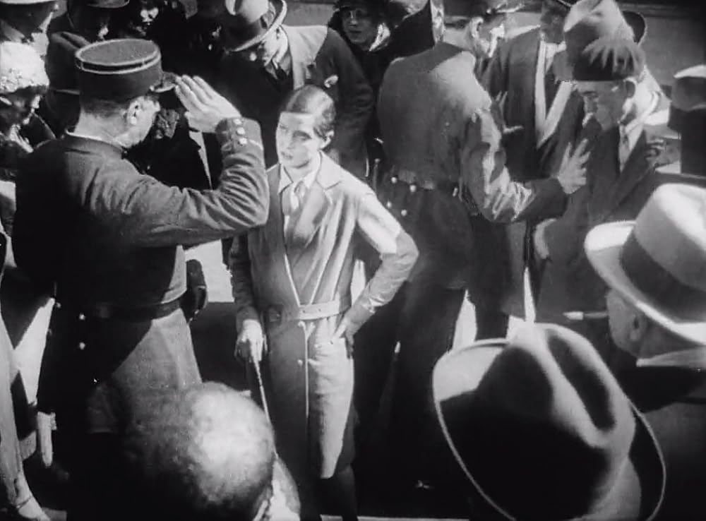 アンダルシアの犬の画像