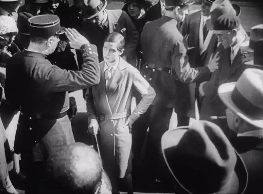 アンダルシアの犬の画像