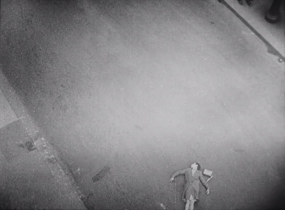 アンダルシアの犬の画像