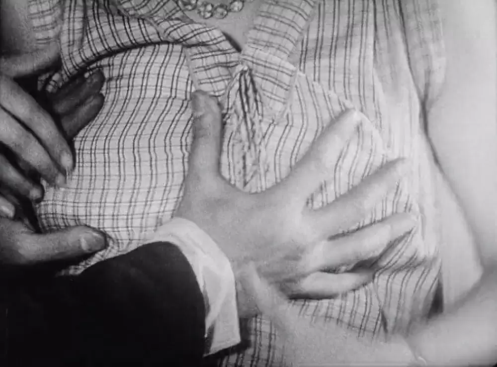 アンダルシアの犬の画像