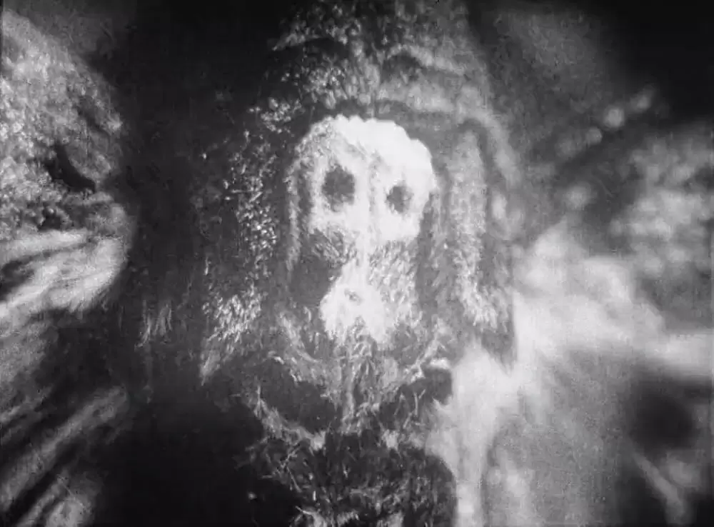 「アンダルシアの犬」の画像