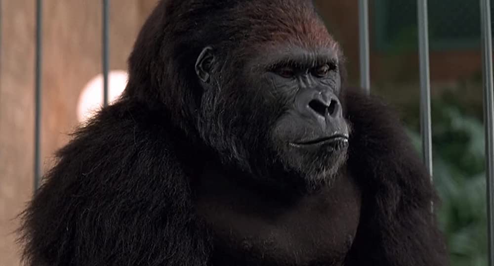 マイティ・ジョーの画像