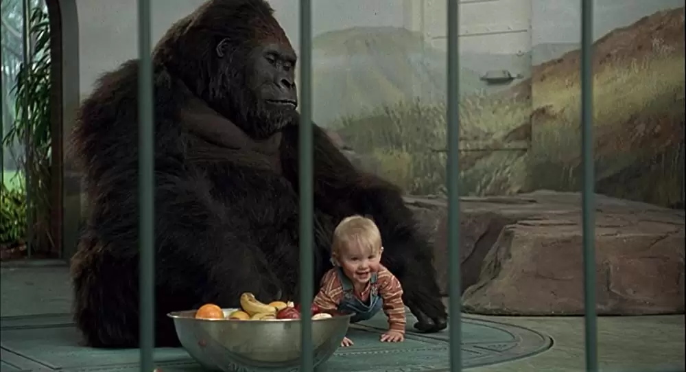 赤ちゃんのおでかけの画像