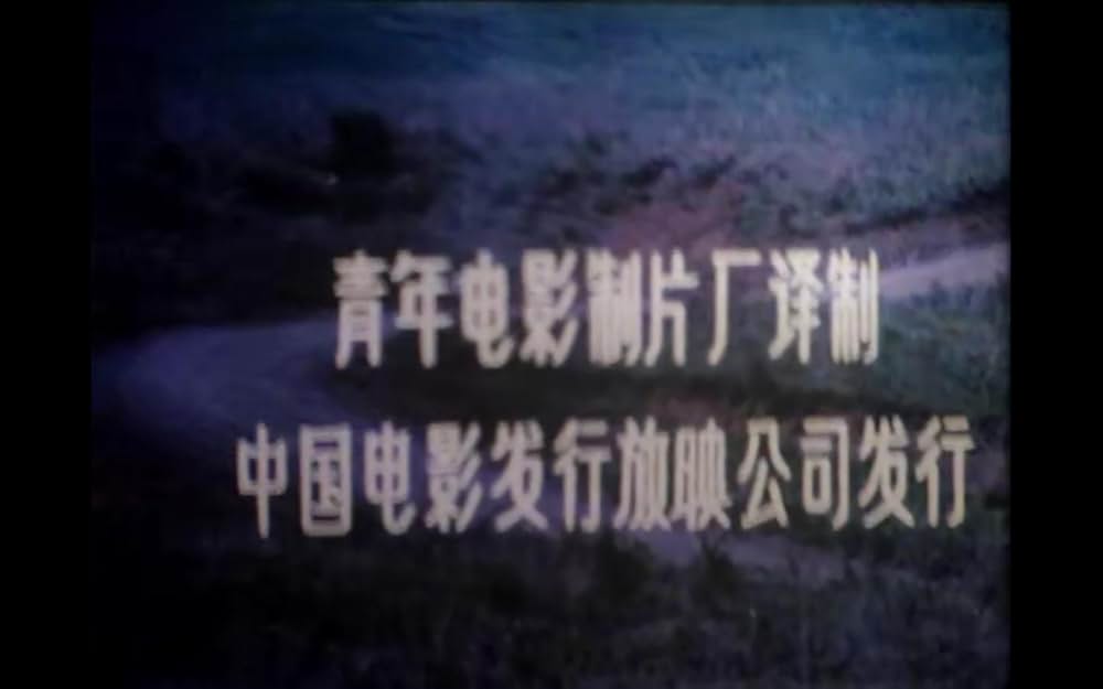 こむぎいろの天使 雀と少年の画像