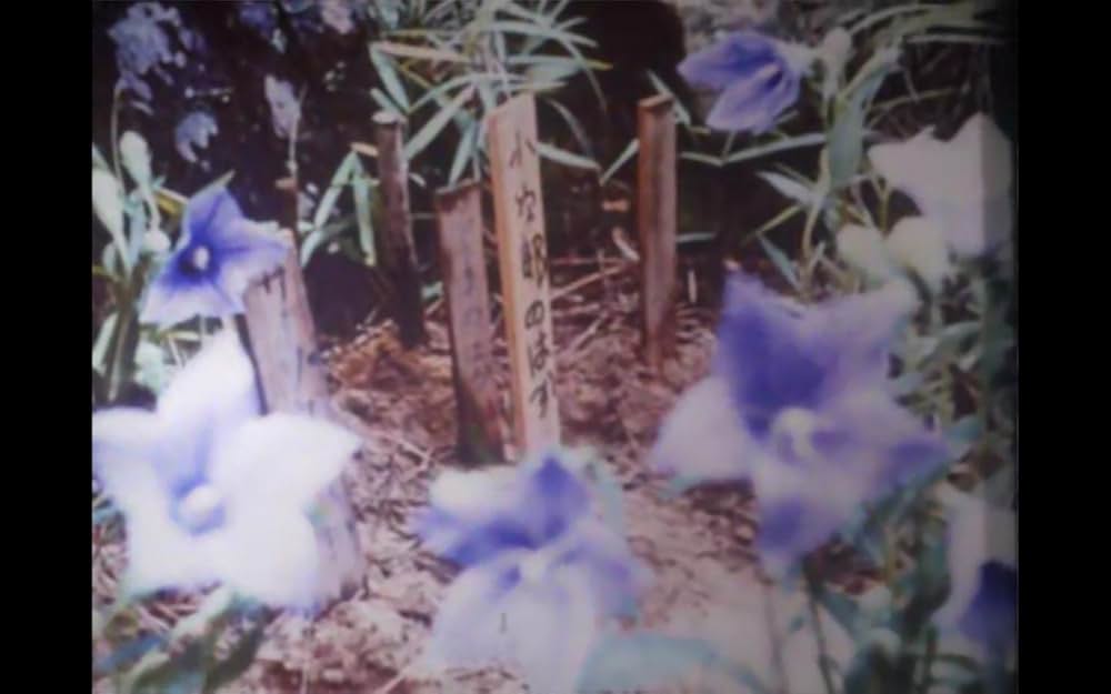 こむぎいろの天使 雀と少年の画像