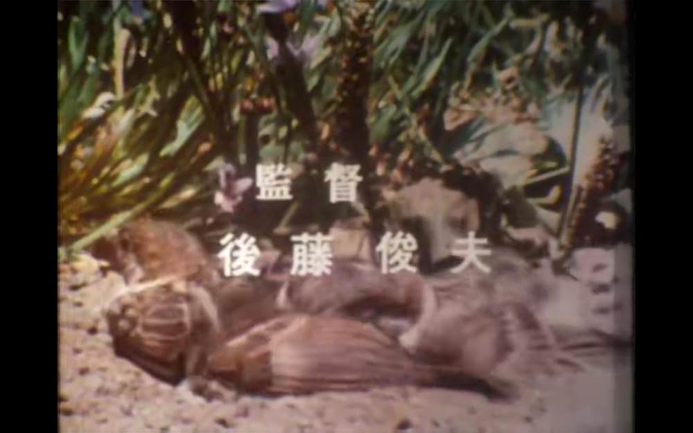 こむぎいろの天使 雀と少年の画像