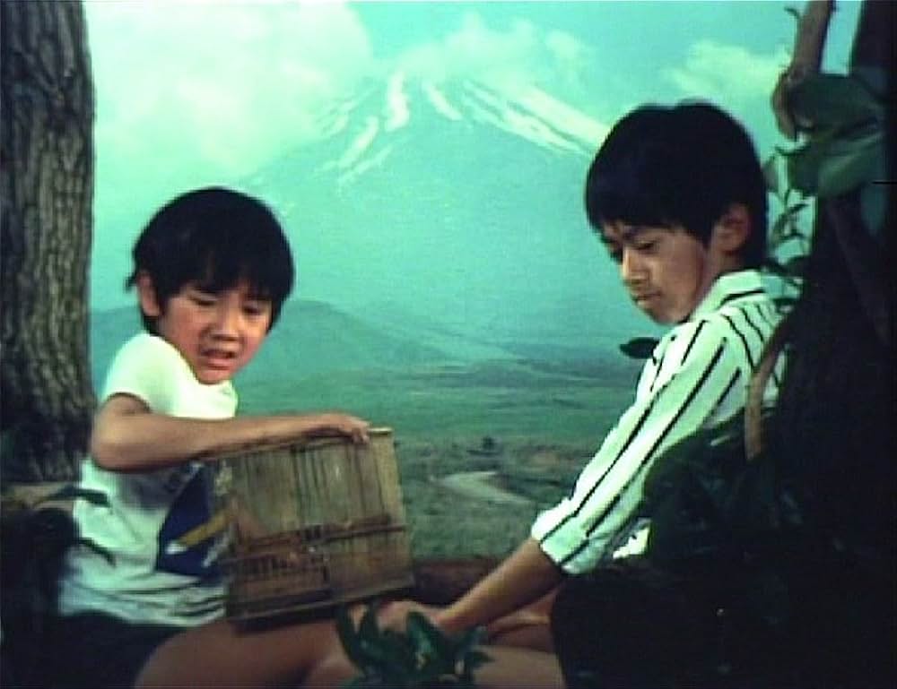 こむぎいろの天使 雀と少年の画像